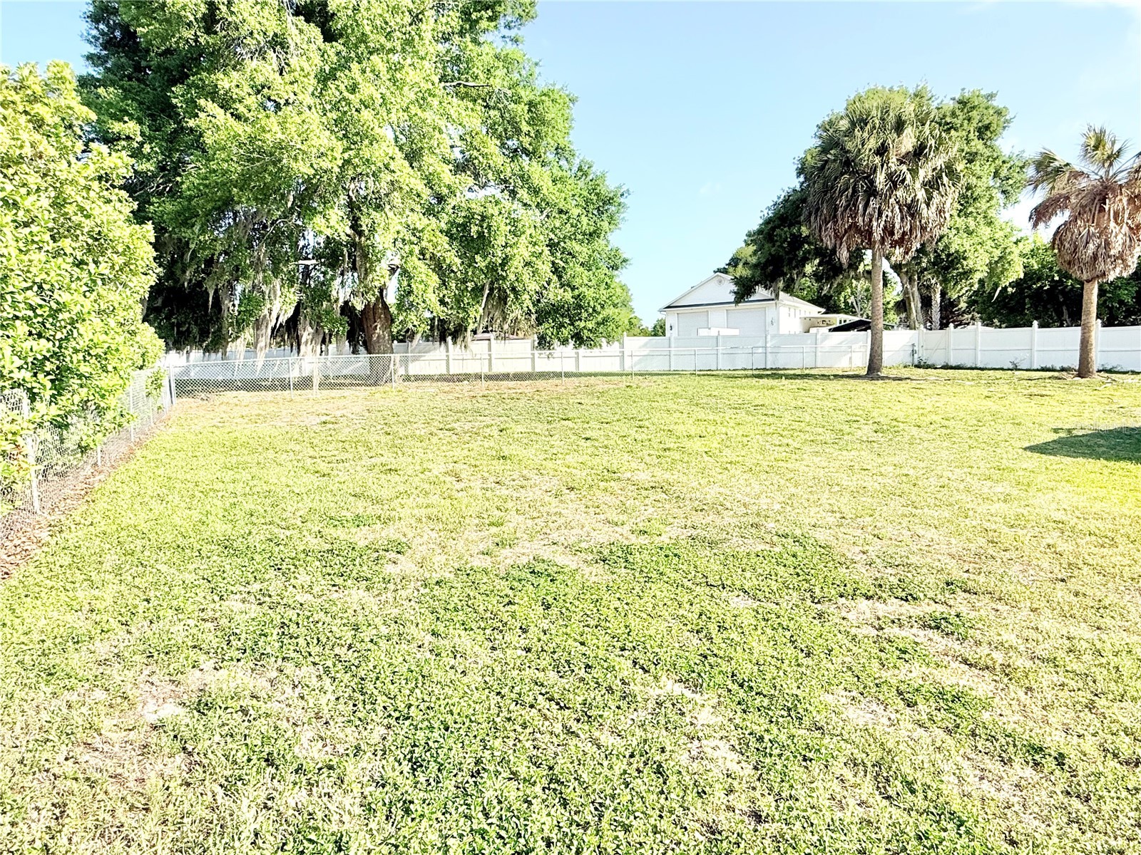 3155 Lakeshore Drive Mount Dora FL 32757 - LAKE DORA G5111262 image29