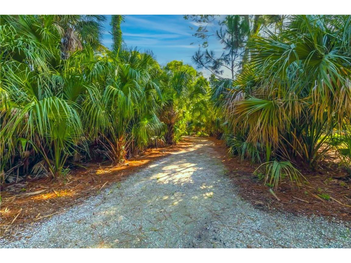 3155 Moorings Drive S Saint Petersburg FL 33712 TB8413756 image21