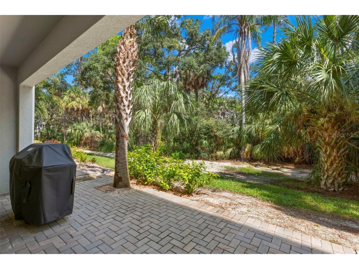 3155 Moorings Drive S Saint Petersburg FL 33712 TB8413756 image4