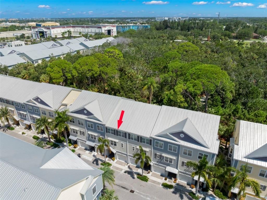 3155 Moorings Drive S Saint Petersburg FL 33712 TB8413756 image42