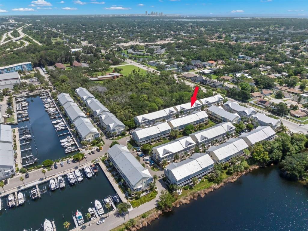 3155 Moorings Drive S Saint Petersburg FL 33712 TB8413756 image46