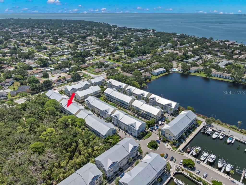 3155 Moorings Drive S Saint Petersburg FL 33712 TB8413756 image47