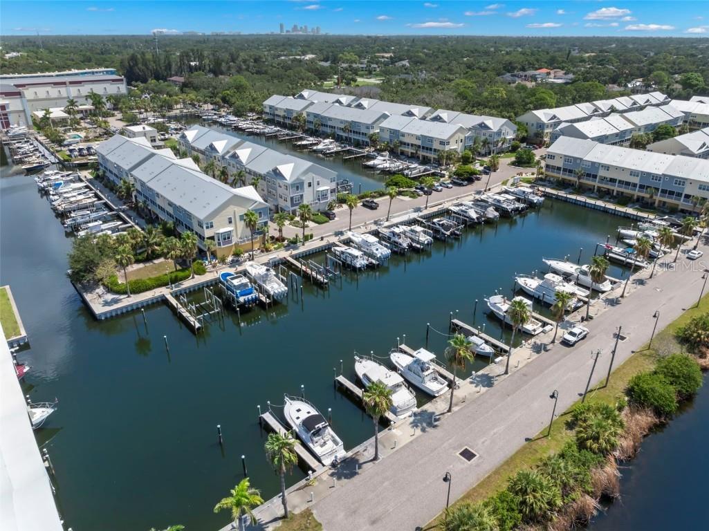 3155 Moorings Drive S Saint Petersburg FL 33712 TB8413756 image61