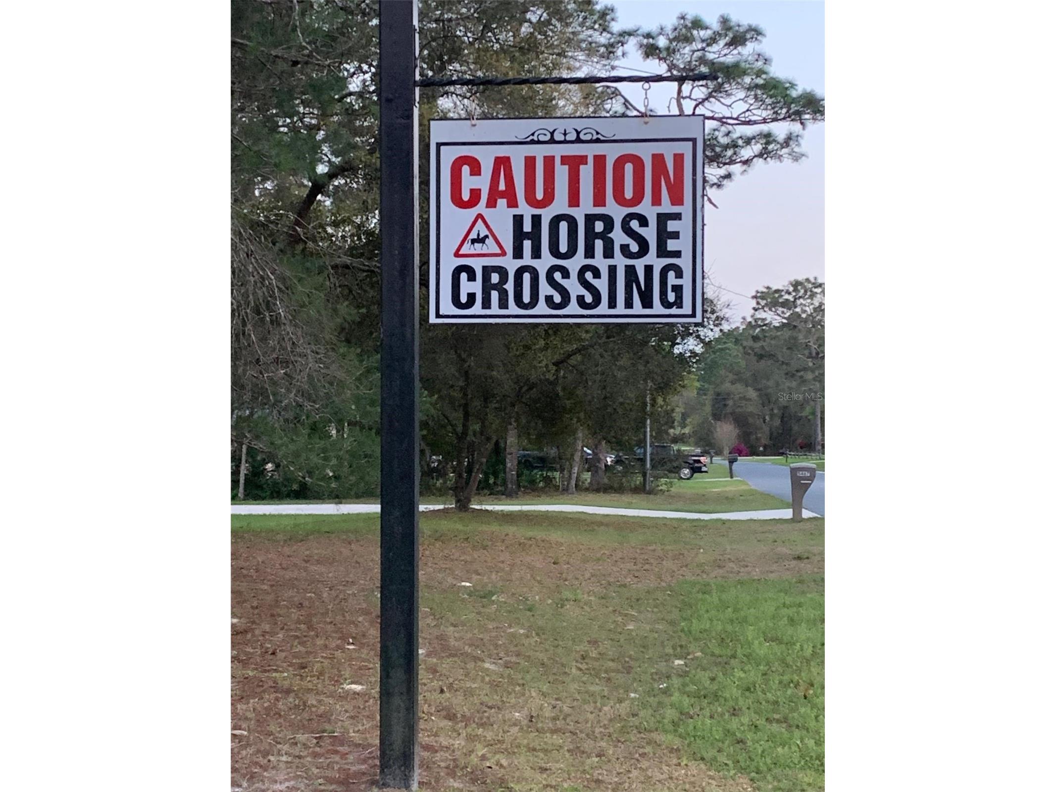 3155 W Brazilnut Road Beverly Hills FL 34465 OM713430 image12