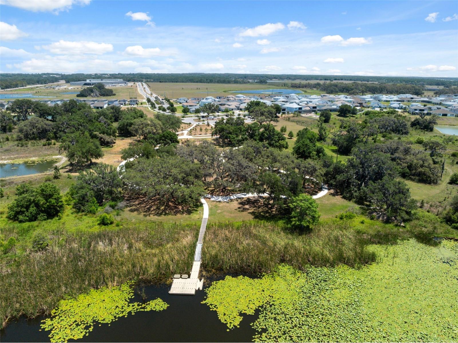 31555 Blue Passing Loop Wesley Chapel FL 33545 TB8506754 image79