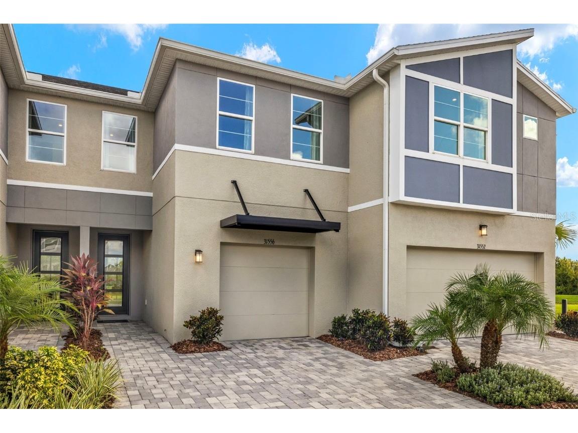 31556 Woodland Race Loop Wesley Chapel FL 33545 TB8304739 image1