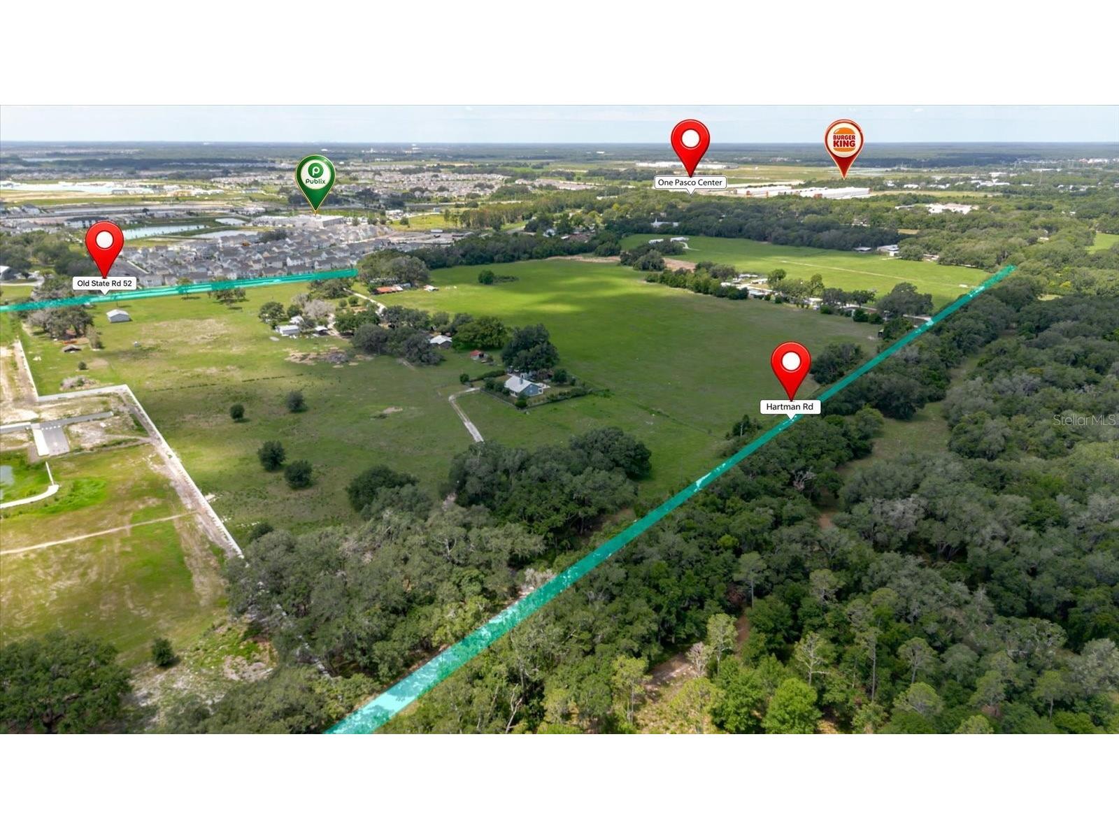 31557 Cr-52 San Antonio FL 33576 TB8516579 image7