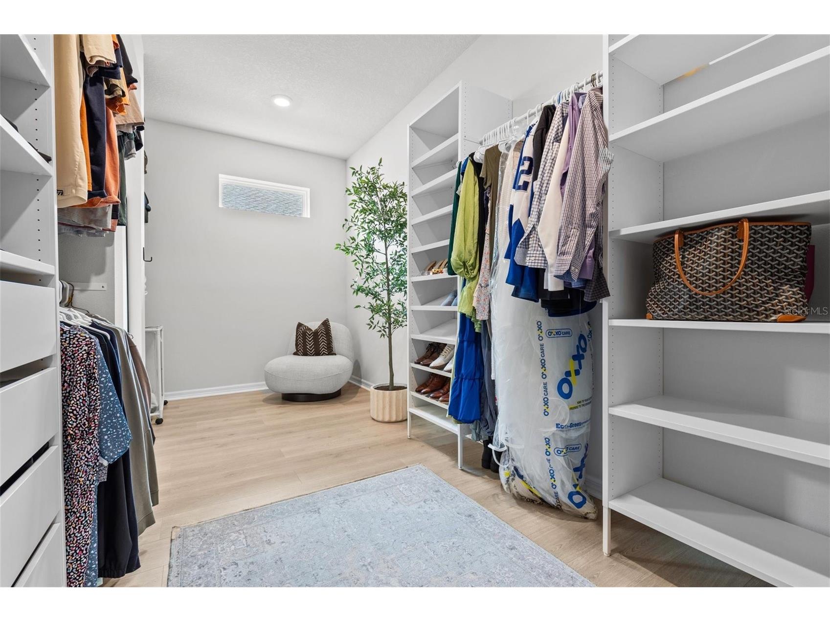 31557 Westbury Estates Avenue Wesley Chapel FL 33545 TB8403944 image47