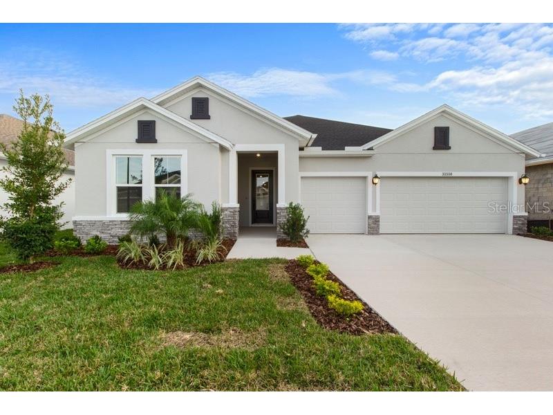31558 Westbury Estates Avenue Wesley Chapel FL 33545 T3475284 image1