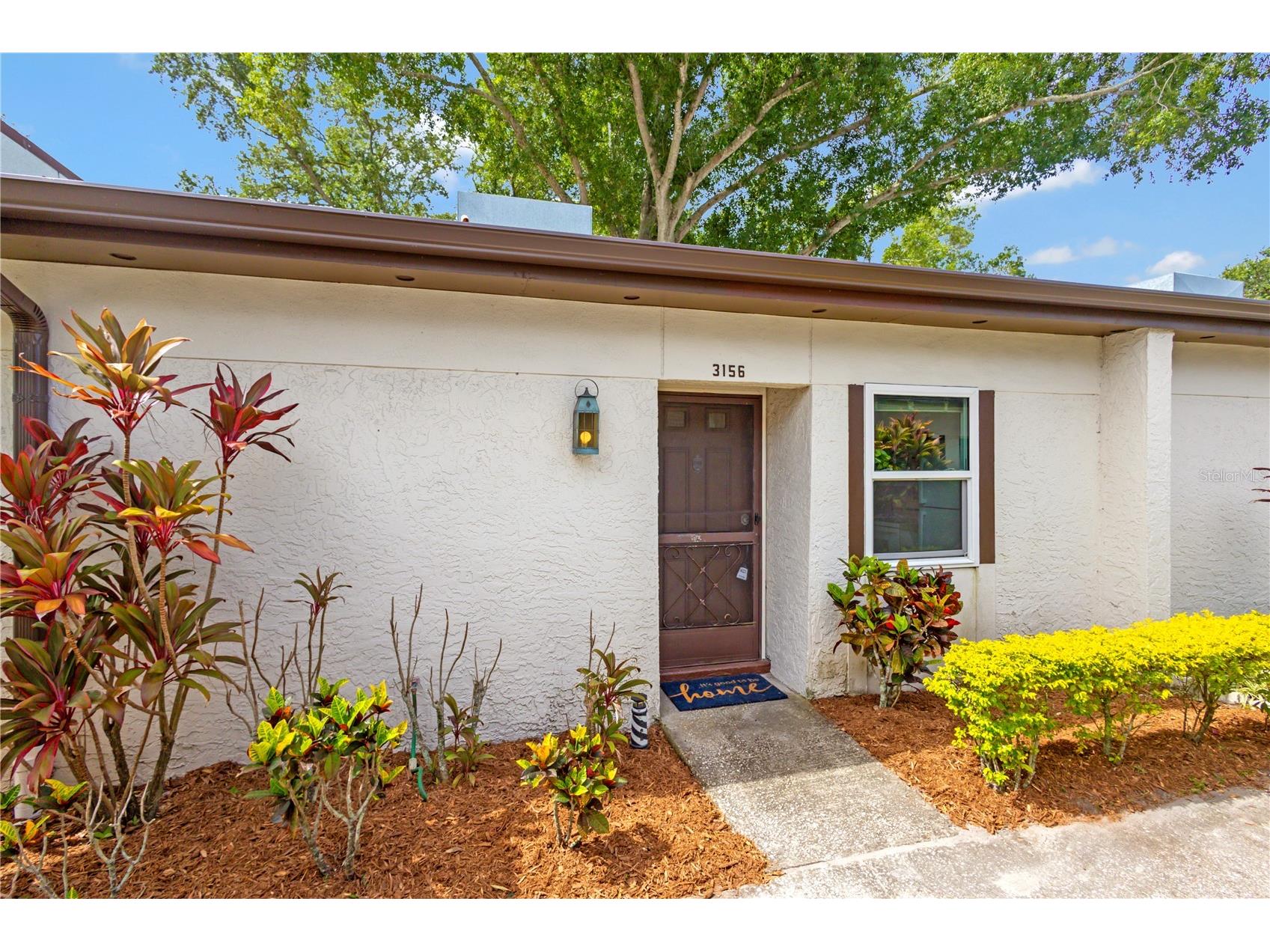3156 Highlands Boulevard #A Palm Harbor FL 34684 TB8503348 image1