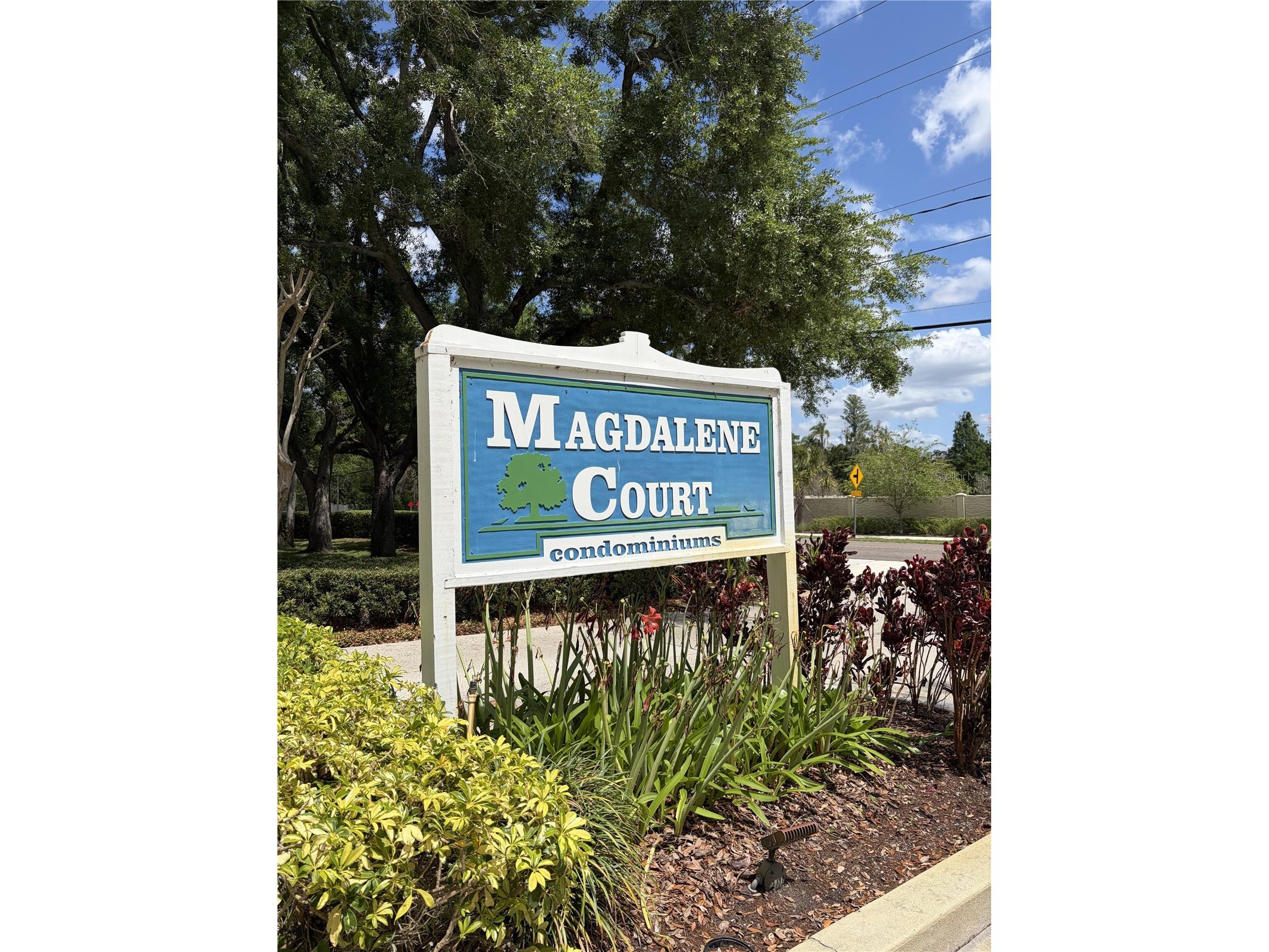 3156 Valley Oaks Drive #614 Tampa FL 33618 TB8495042 image31