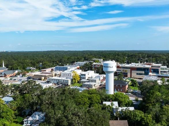 31563 Wild Grape Lane Brooksville FL 34602 O6371828 image26