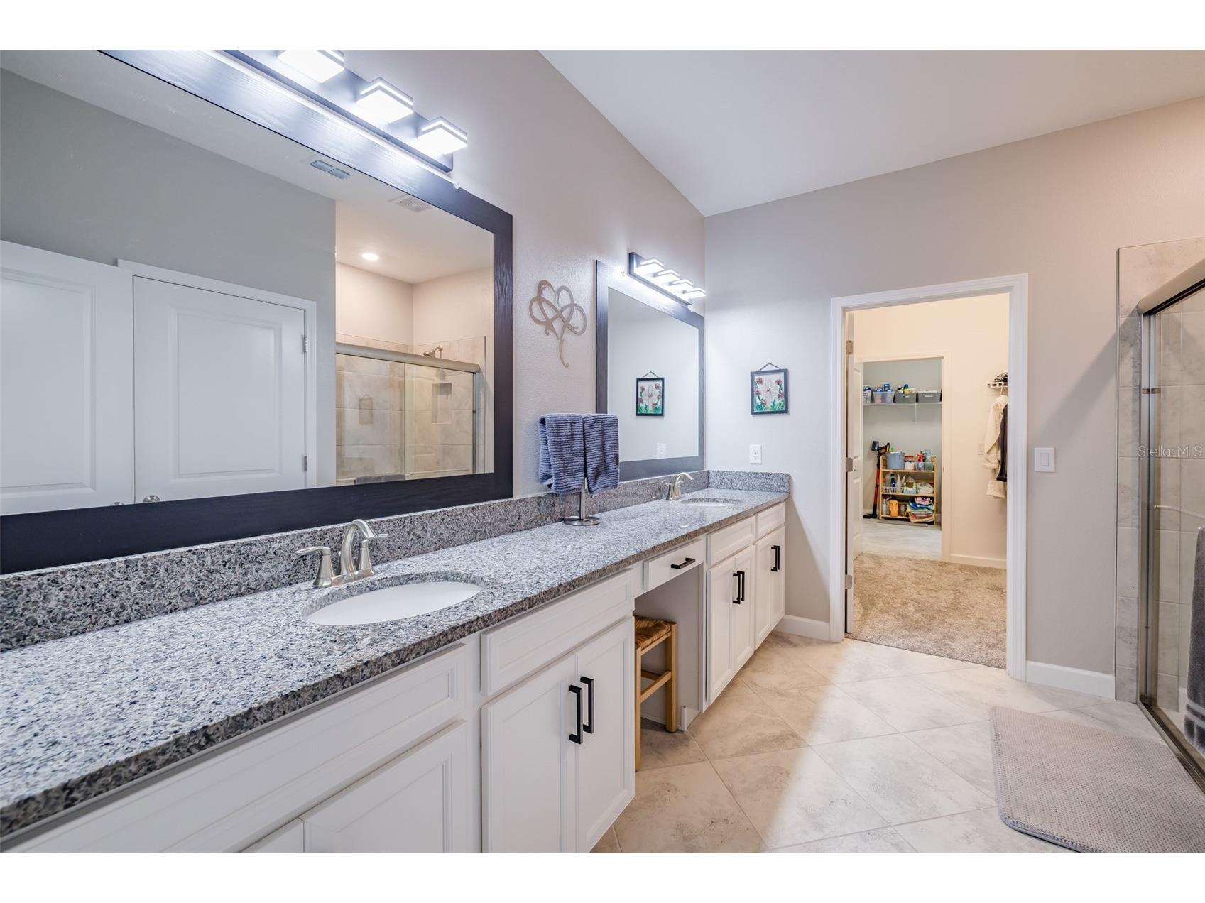 31565 Cannon Rush Drive San Antonio FL 33576 TB8474390 image22