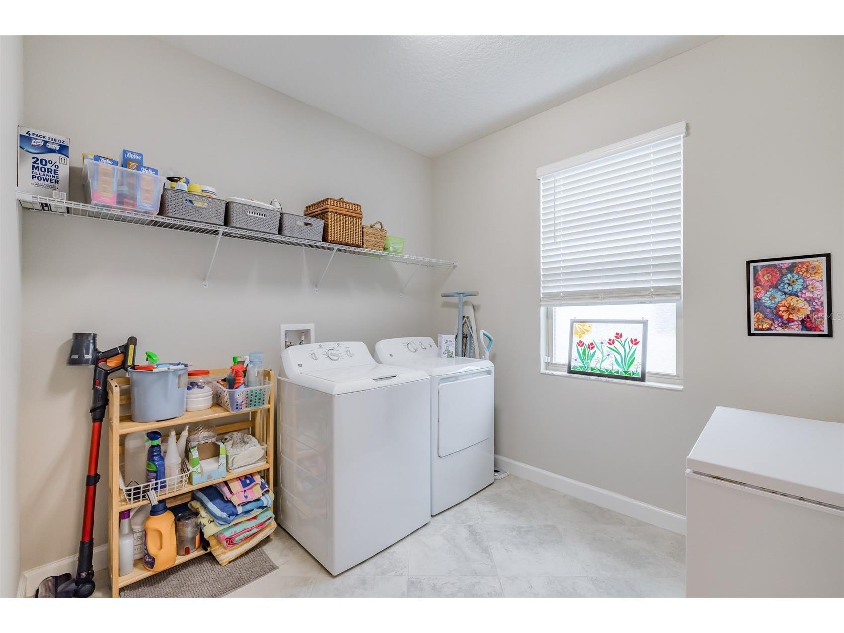 31565 Cannon Rush Drive San Antonio FL 33576 TB8489879 image21