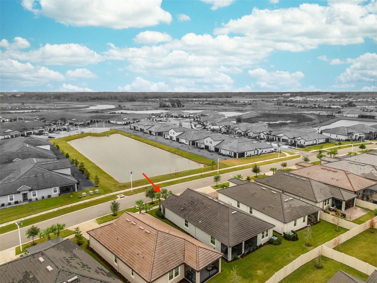 31565 Cannon Rush Drive San Antonio FL 33576 TB8489879 image47