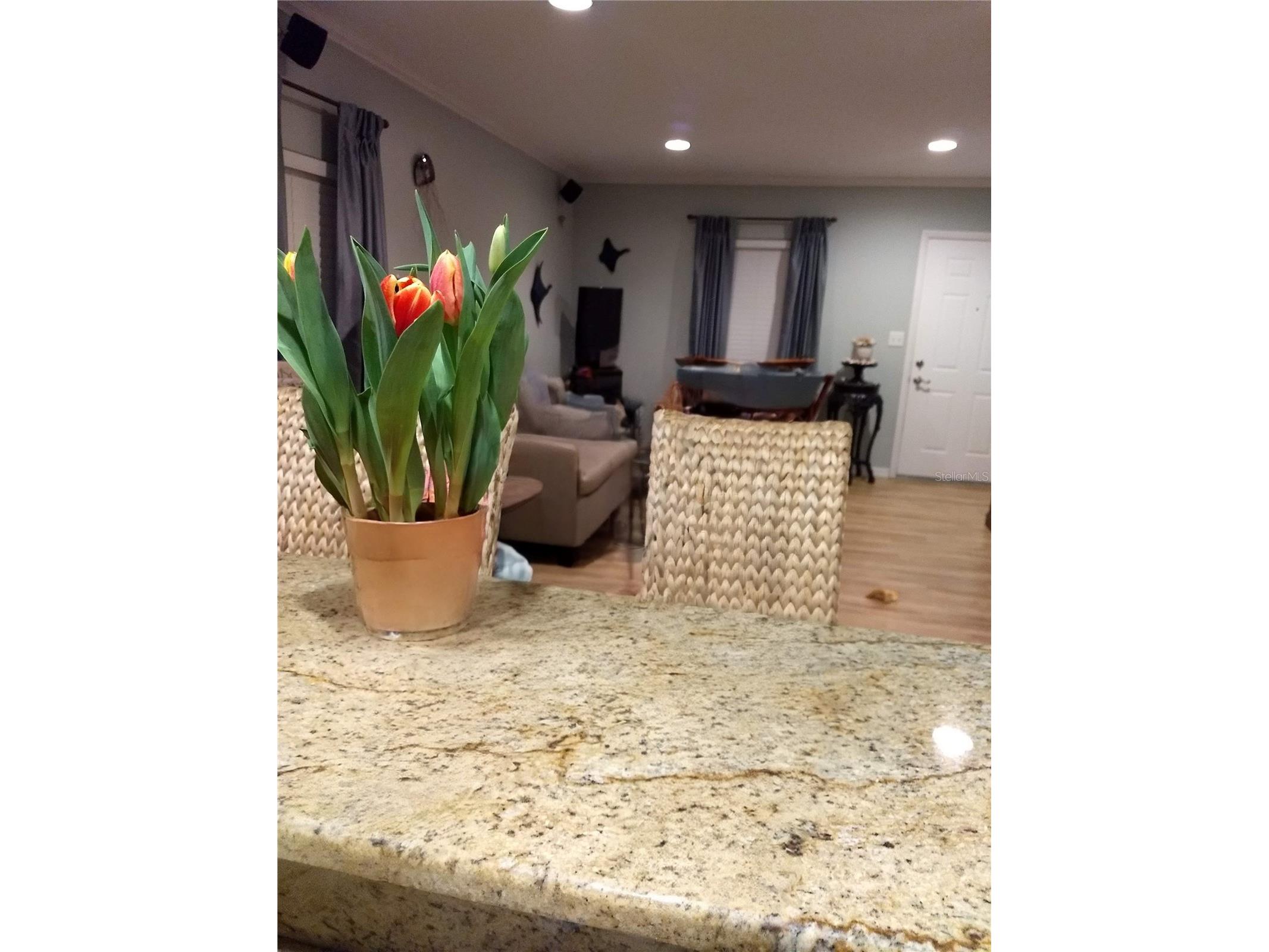 3157 Goldenrod Street #B Sarasota FL 34239 - BERMUDA BROOK A4699986 image5