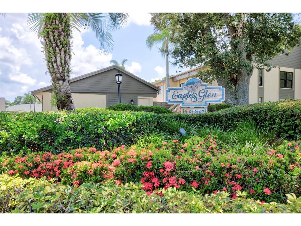 3157 Landmark Drive #411 Clearwater FL 33761 U8209460 image1