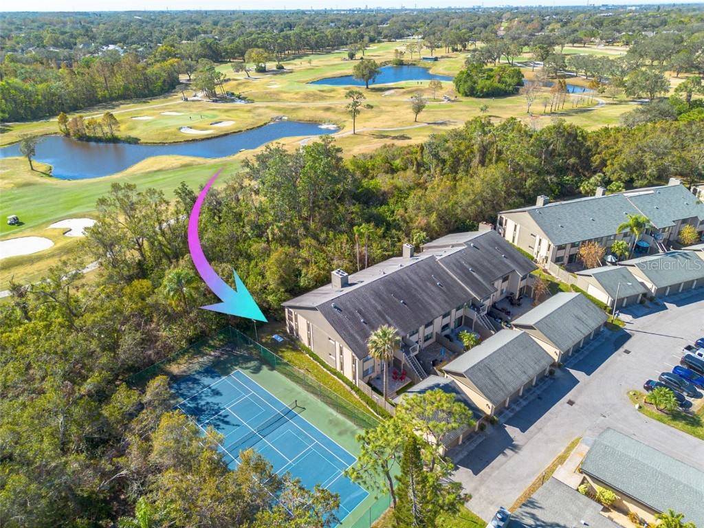 3157 Landmark Drive #411 Clearwater FL 33761 TB8336761 image1