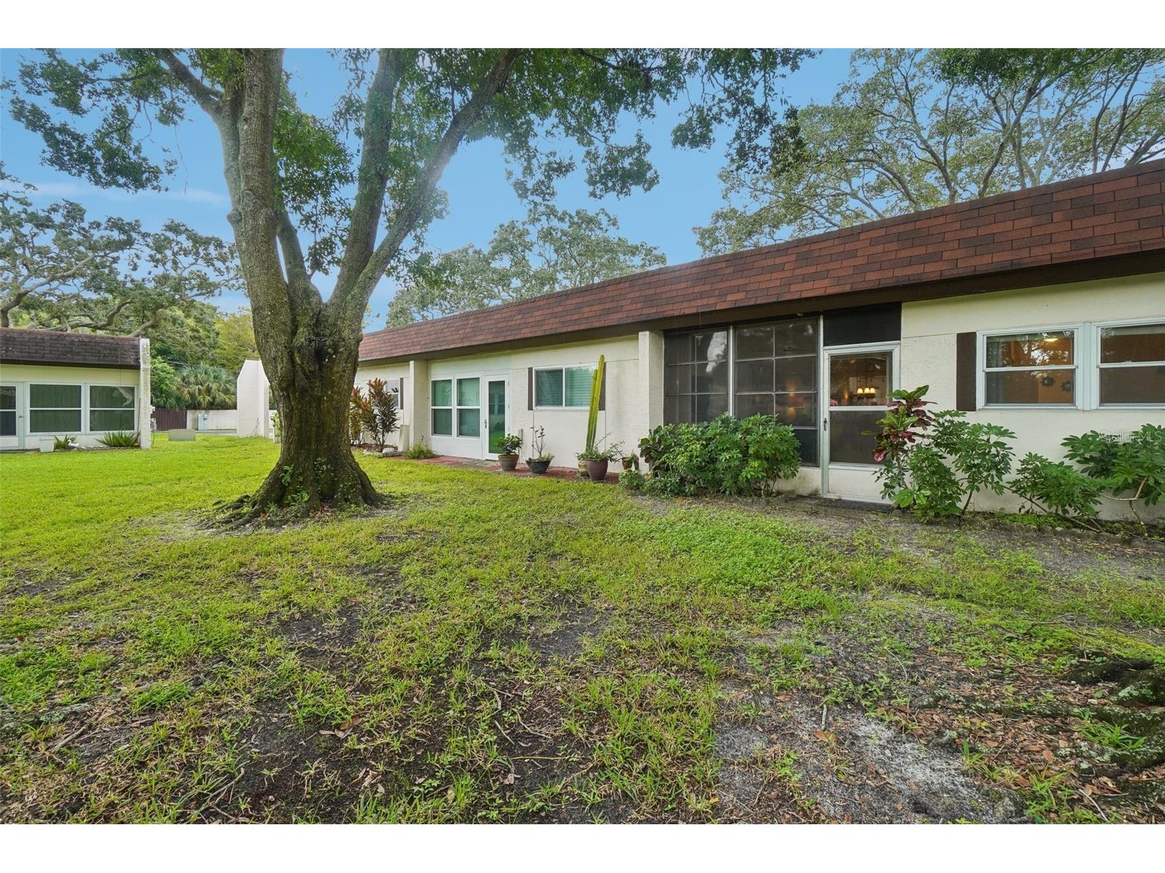 3157 Mission Grove Drive Palm Harbor FL 34684 - LAKE TARPON TB8510526 image28