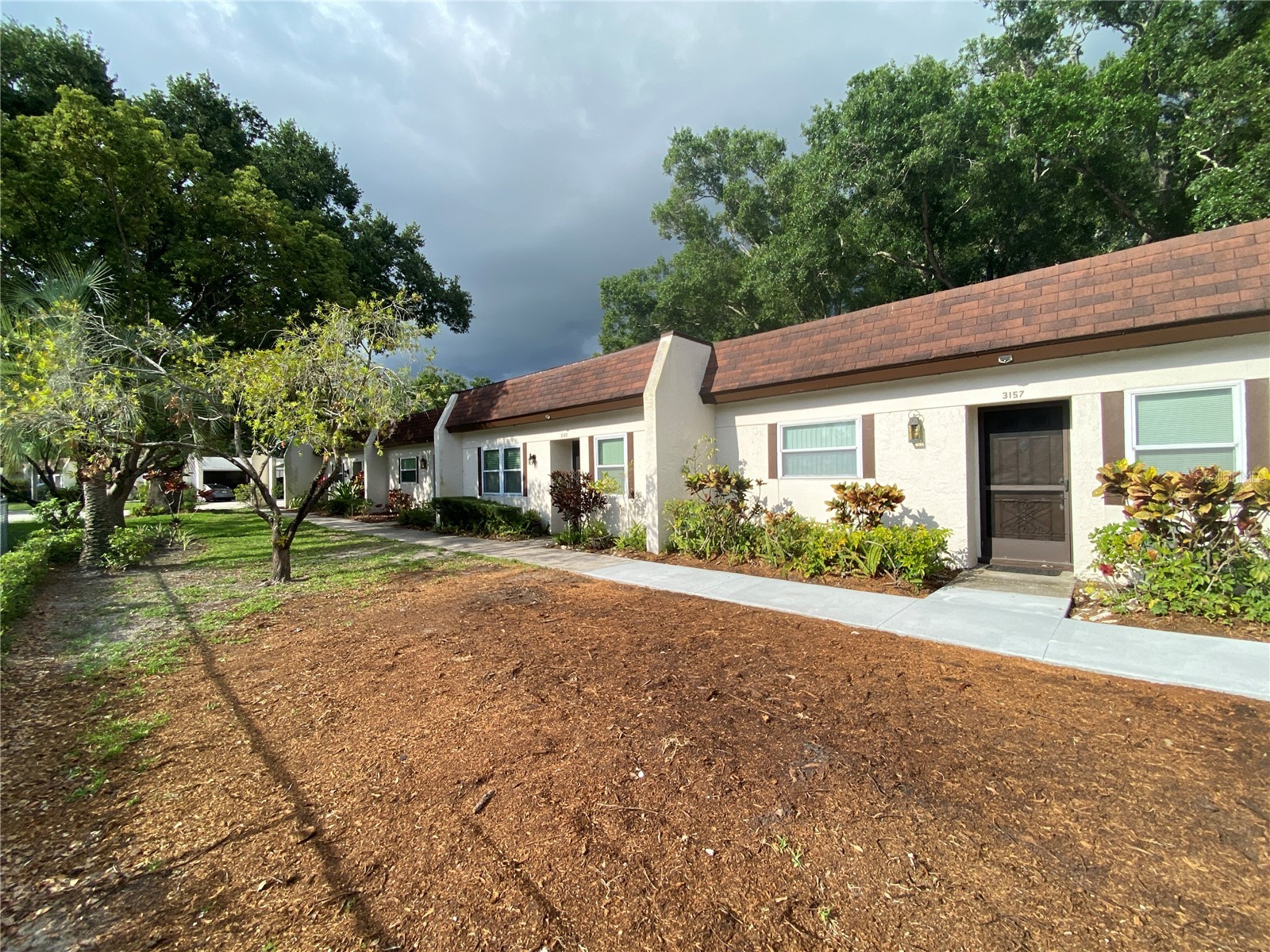 3157 Mission Grove Drive Palm Harbor FL 34684 - LAKE TARPON TB8510526 image32