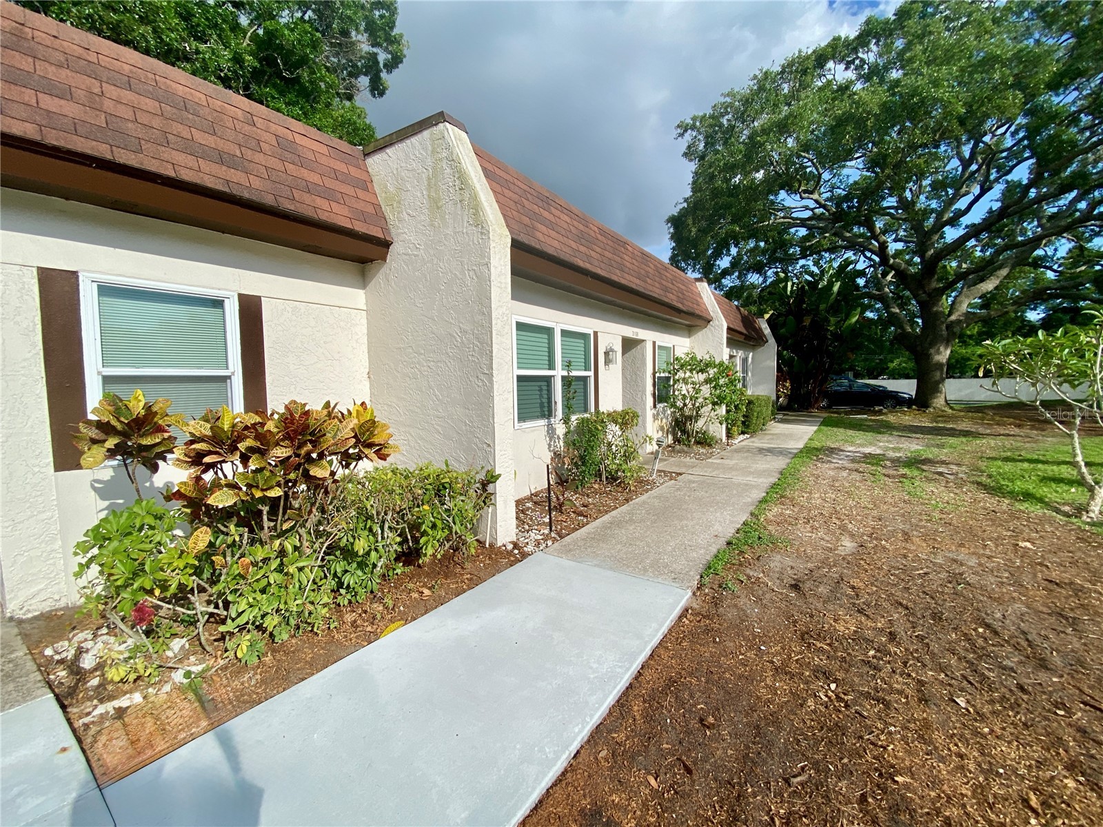 3157 Mission Grove Drive Palm Harbor FL 34684 - LAKE TARPON TB8510526 image33