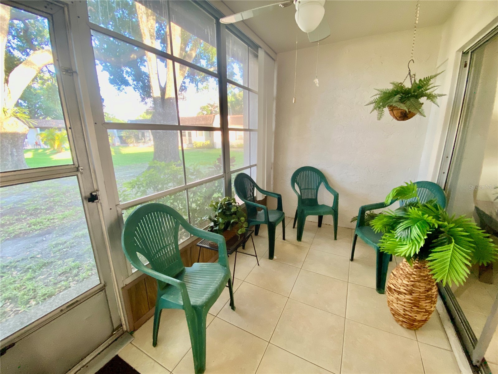 3157 Mission Grove Drive Palm Harbor FL 34684 - LAKE TARPON TB8510526 image4