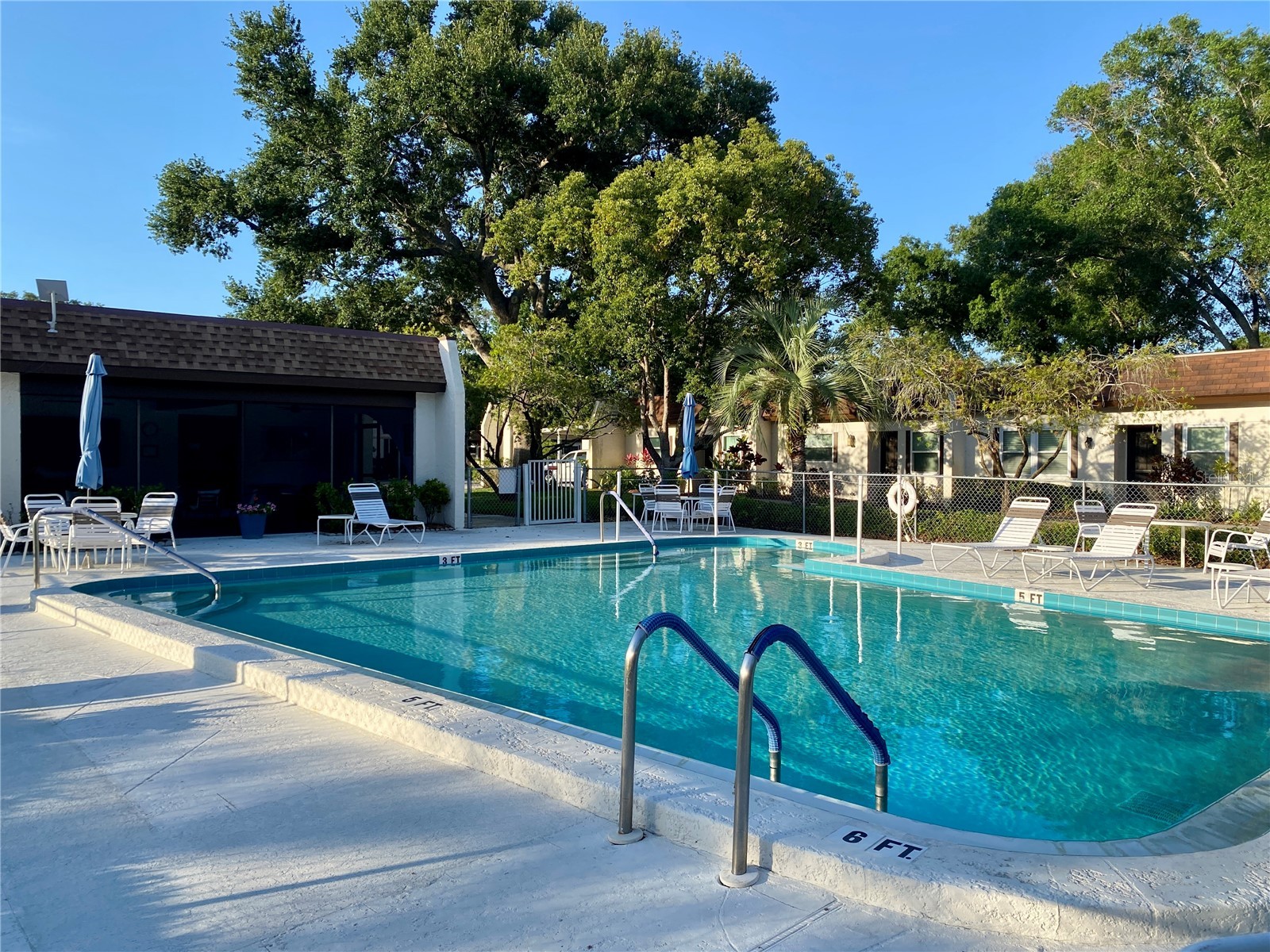 3157 Mission Grove Drive Palm Harbor FL 34684 - LAKE TARPON TB8510526 image41