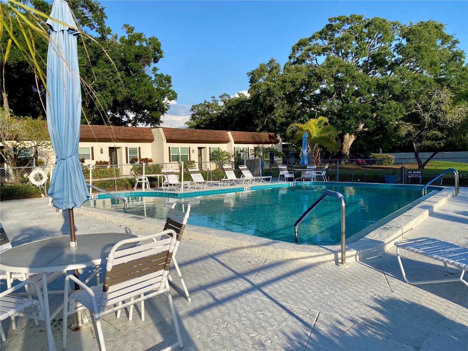 3157 Mission Grove Drive Palm Harbor FL 34684 - LAKE TARPON TB8510526 image43