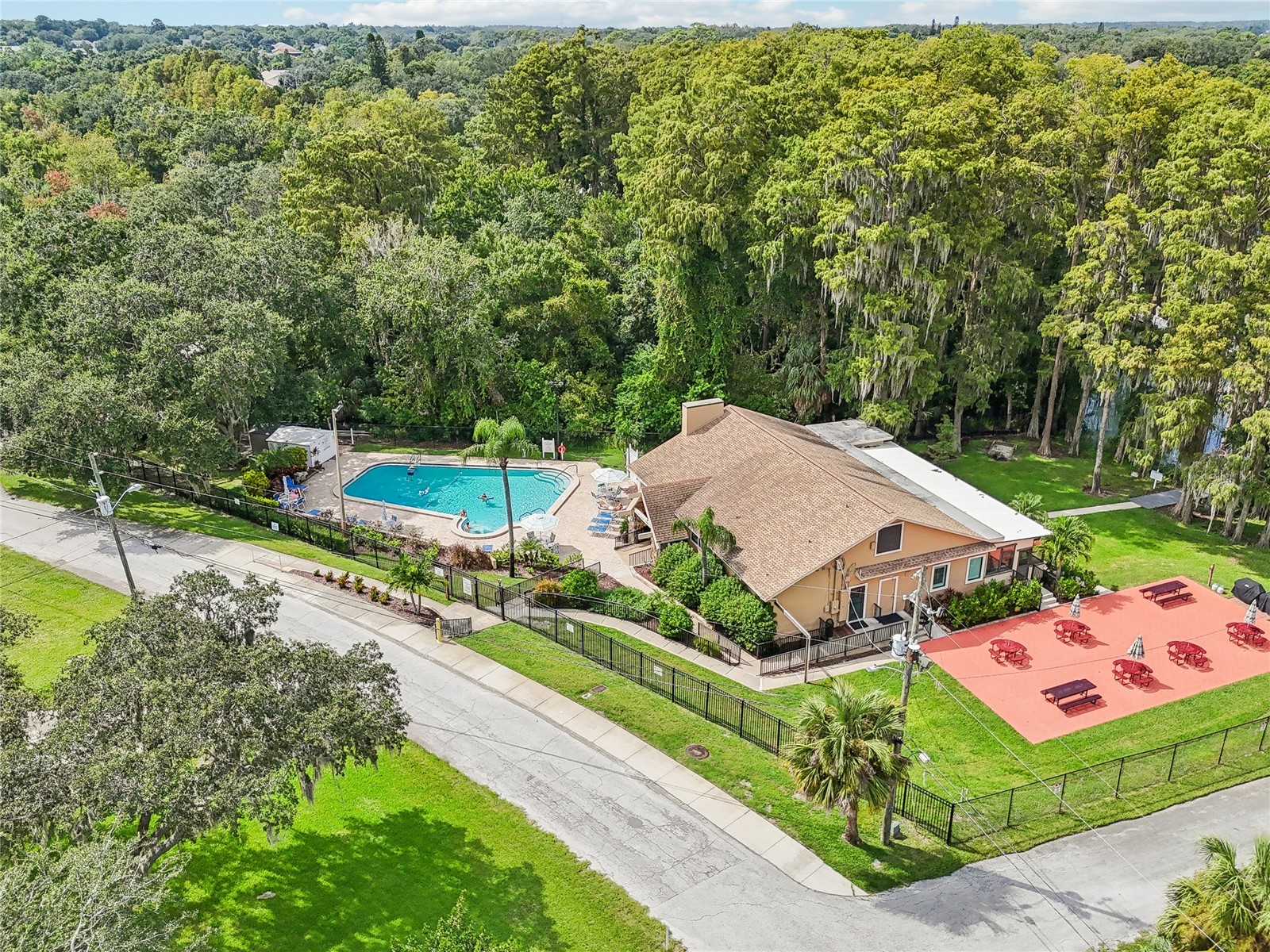 3157 Mission Grove Drive Palm Harbor FL 34684 - LAKE TARPON TB8510526 image46