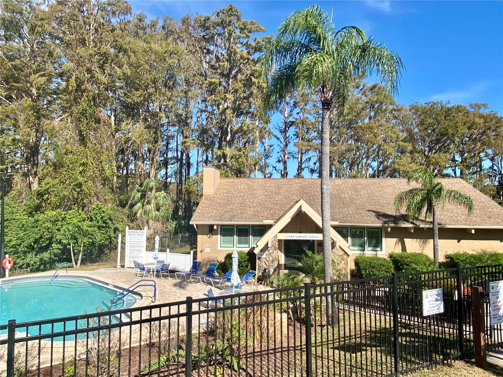 3157 Mission Grove Drive Palm Harbor FL 34684 - LAKE TARPON TB8510526 image47
