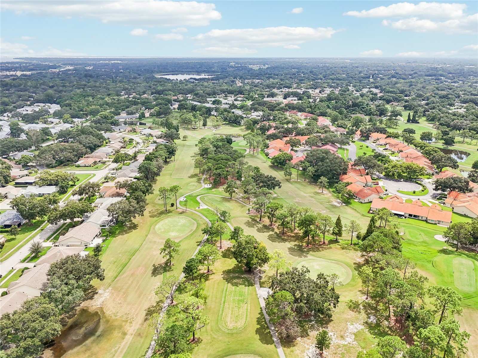 3157 Mission Grove Drive Palm Harbor FL 34684 - LAKE TARPON TB8510526 image53