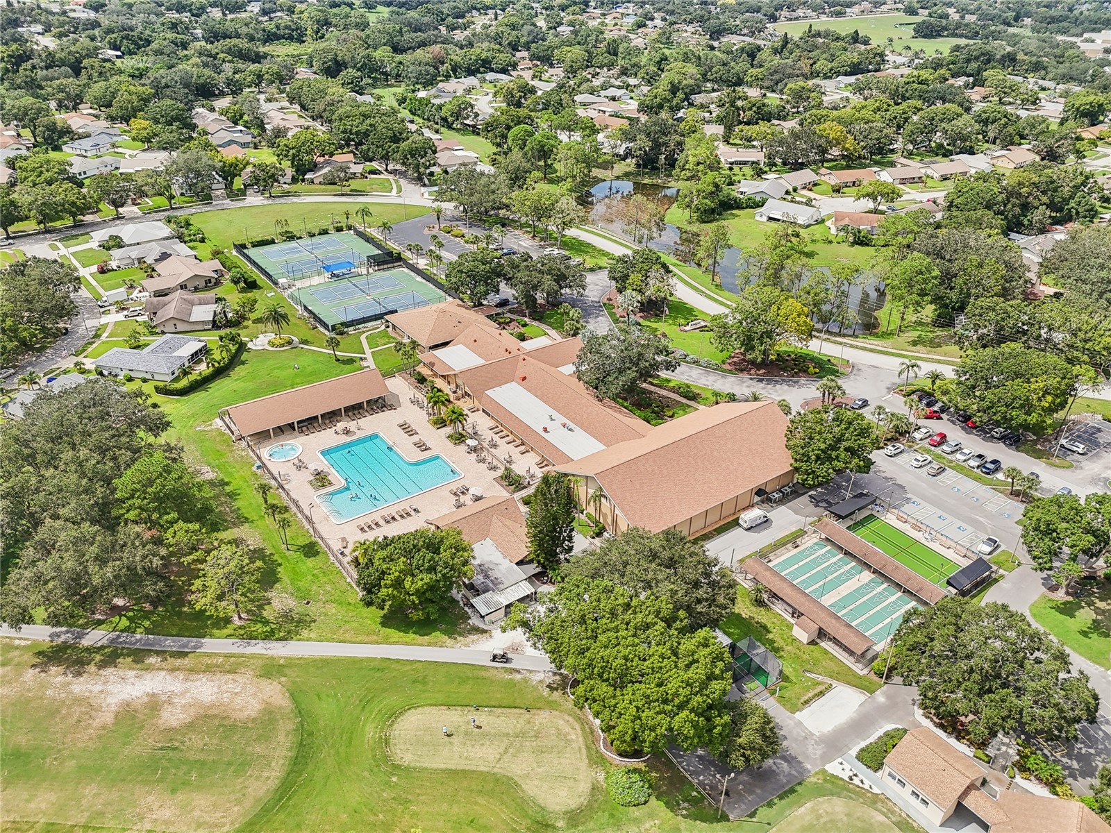 3157 Mission Grove Drive Palm Harbor FL 34684 - LAKE TARPON TB8510526 image54