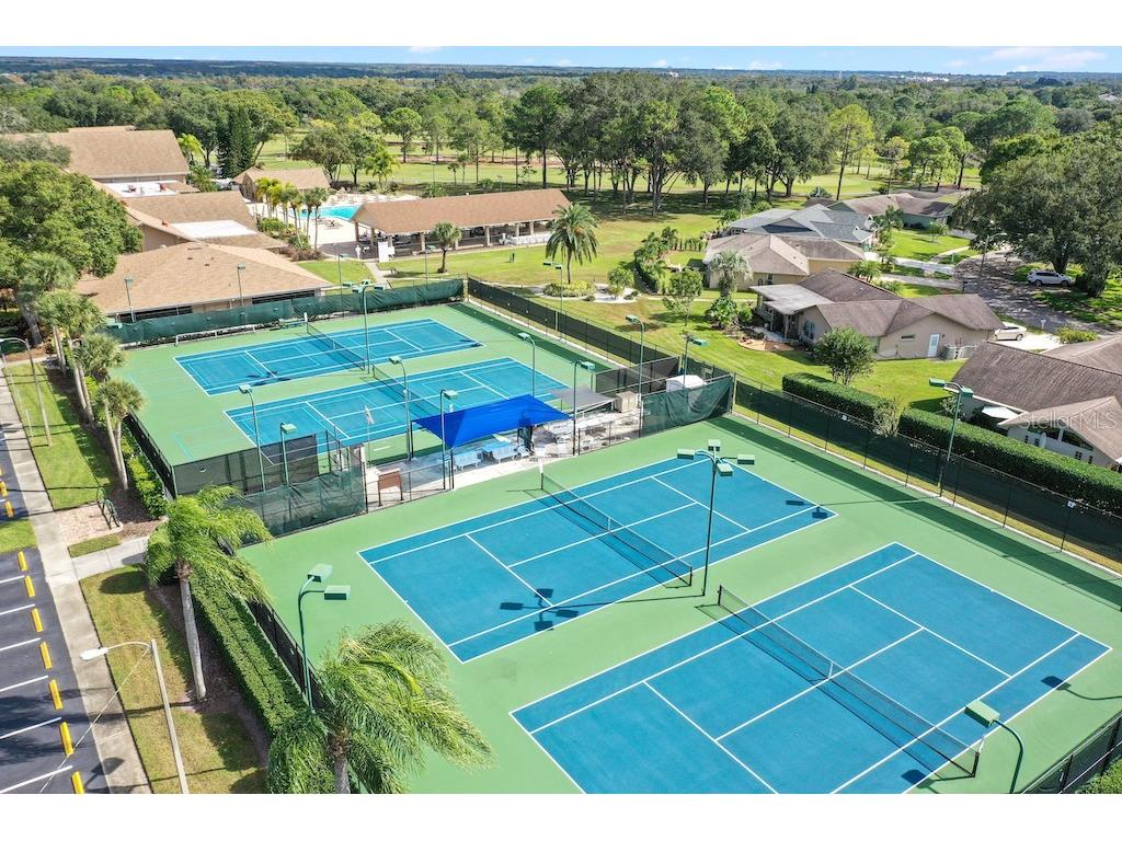 3157 Mission Grove Drive Palm Harbor FL 34684 - LAKE TARPON TB8510526 image62