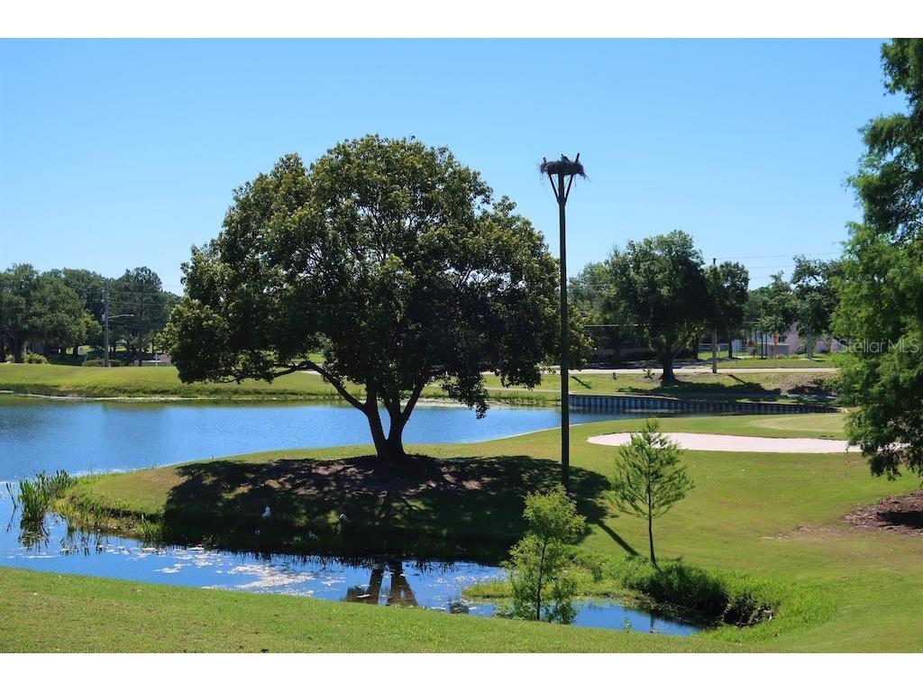 3157 Mission Grove Drive Palm Harbor FL 34684 - LAKE TARPON TB8510526 image68
