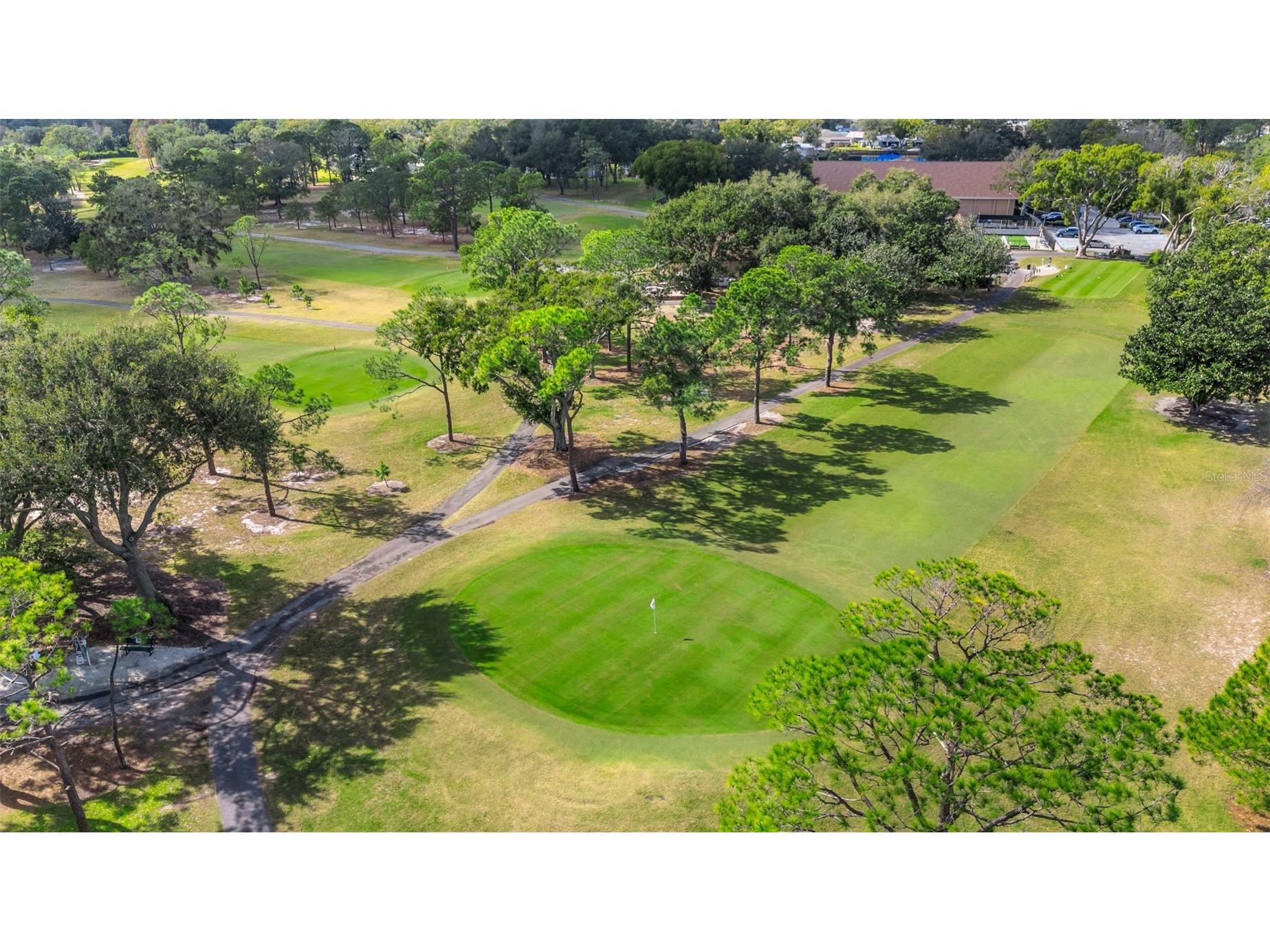 3157 Mission Grove Drive Palm Harbor FL 34684 - LAKE TARPON TB8510526 image69