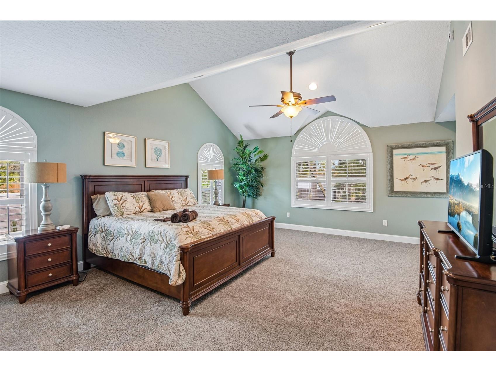 3157 N Canal Drive Palm Harbor FL 34684 - LAKE TARPON TB8504097 image40