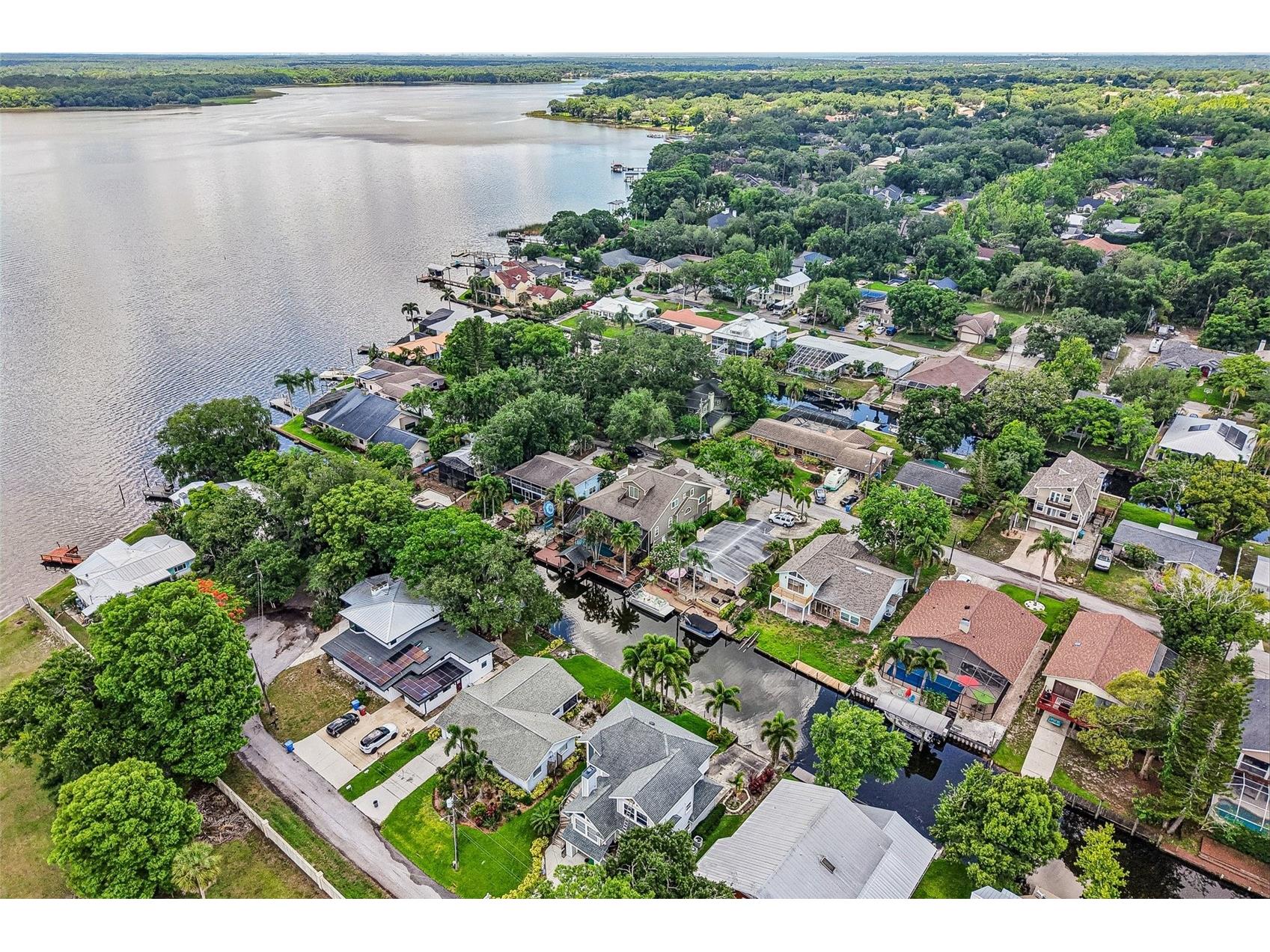 3157 N Canal Drive Palm Harbor FL 34684 - LAKE TARPON TB8504097 image68