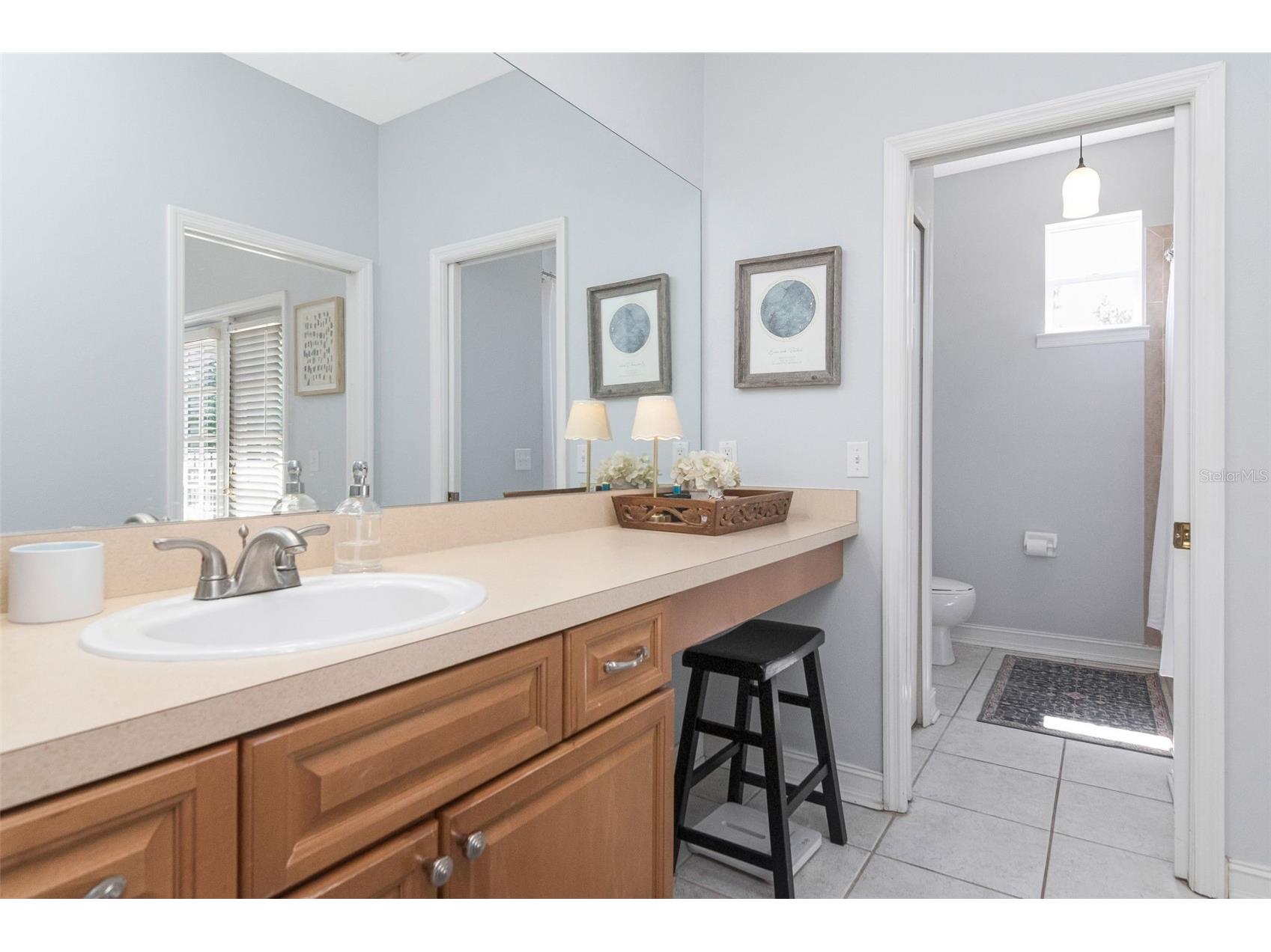 3157 Toscana Circle Tampa FL 33611 TB8518876 image22