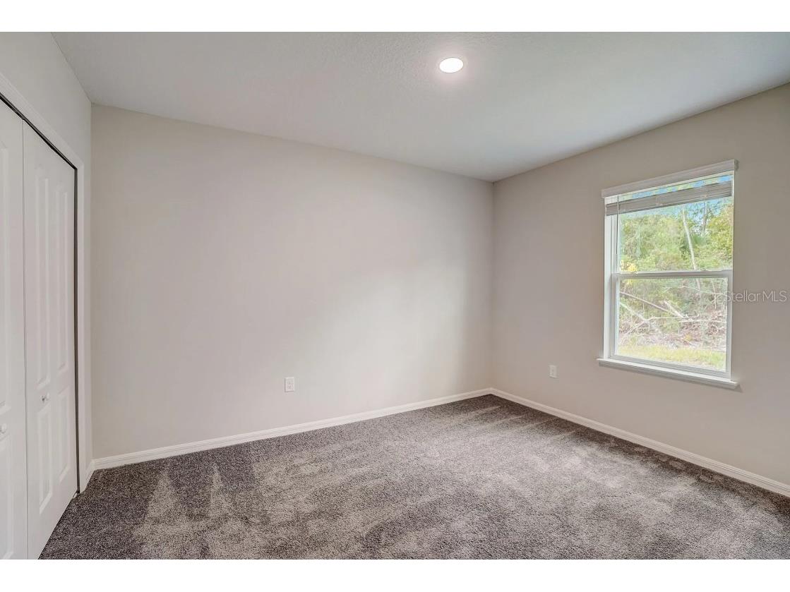 31571 Wild Grape Lane Brooksville FL 34602 O6371755 image18