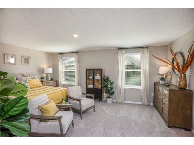 31576 Wild Grape Lane Brooksville FL 34602 O6408060 image17