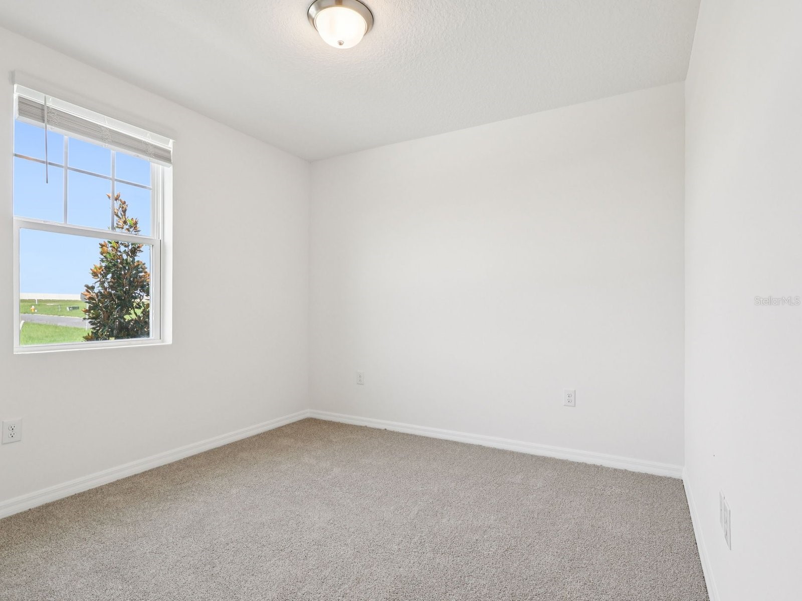 31577 Malbec Drive Brooksville FL 34602 TB8479725 image14