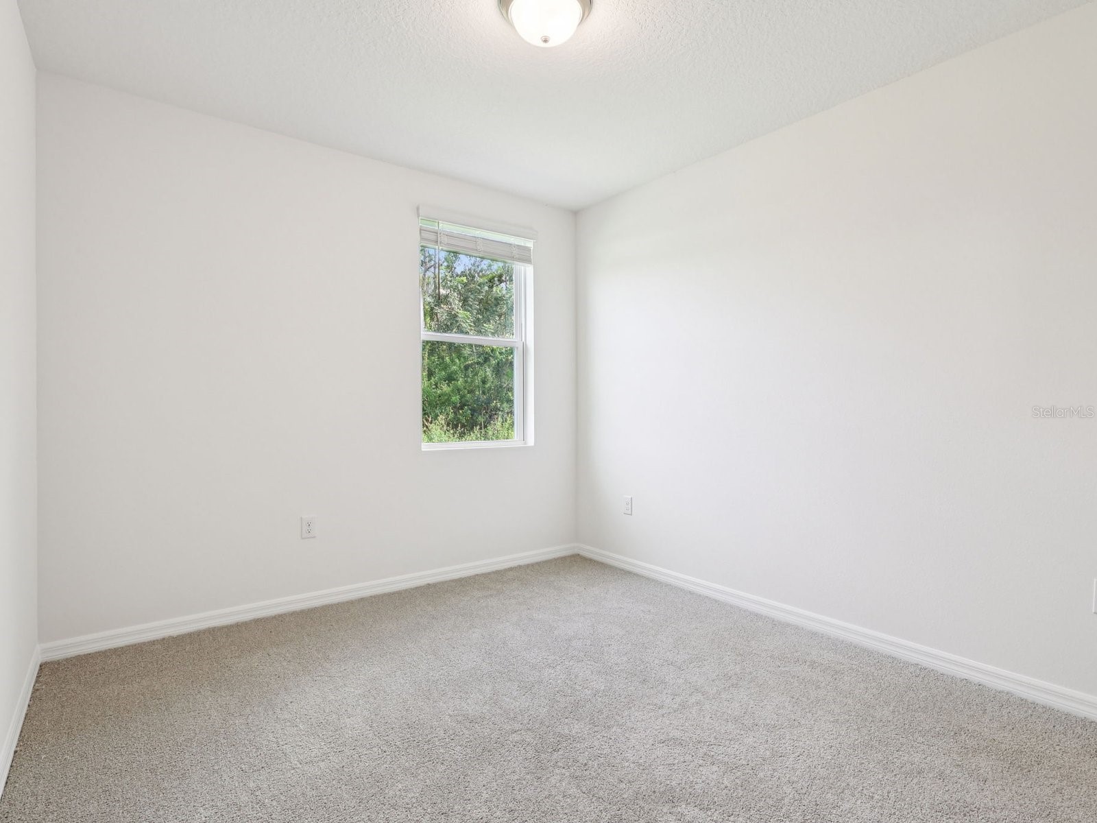 31577 Malbec Drive Brooksville FL 34602 TB8479725 image16