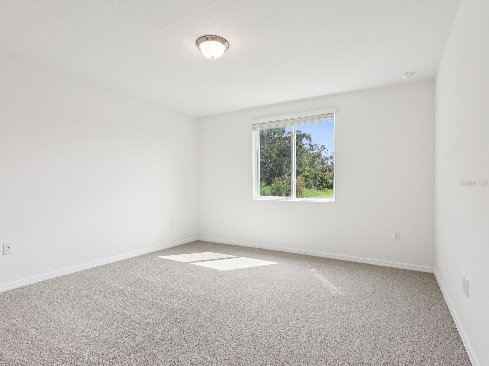 31577 Malbec Drive Brooksville FL 34602 TB8479725 image19