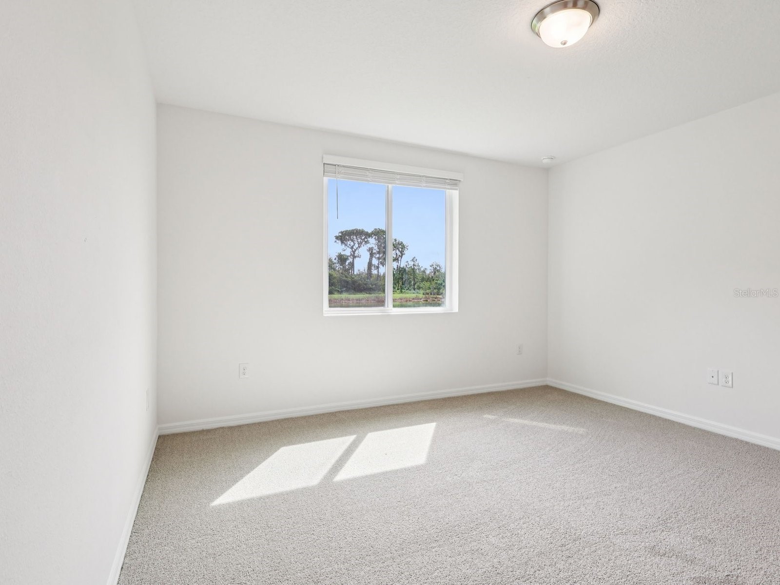 31577 Malbec Drive Brooksville FL 34602 TB8479725 image21