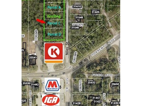 31577 Niles Street Mount Plymouth FL 32776 - WEKIVA RIVER G5110827 image1
