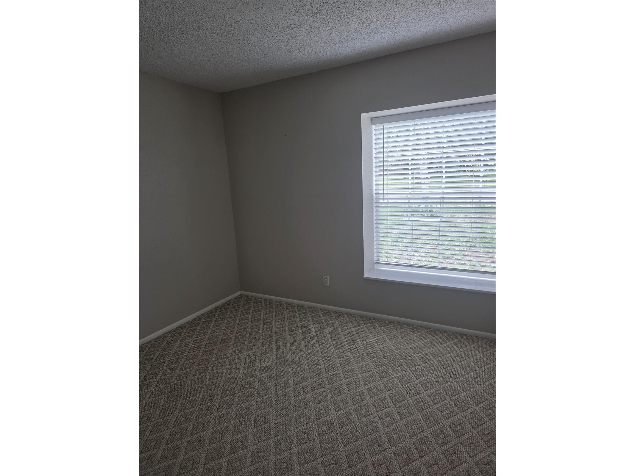 3158 Ambassador Avenue Spring Hill FL 34609 TB8510770 image24