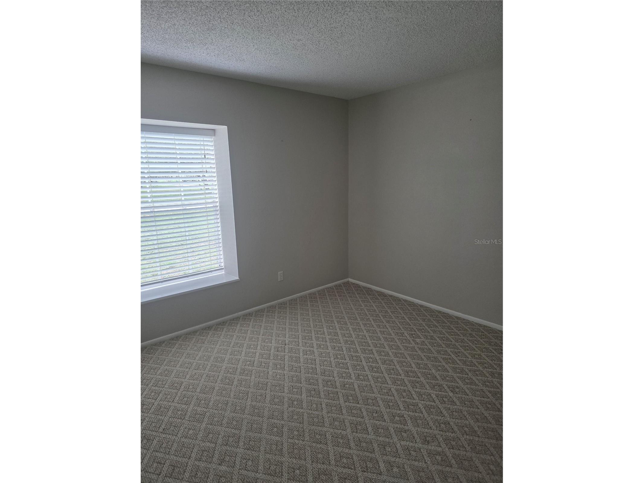 3158 Ambassador Avenue Spring Hill FL 34609 TB8510770 image26