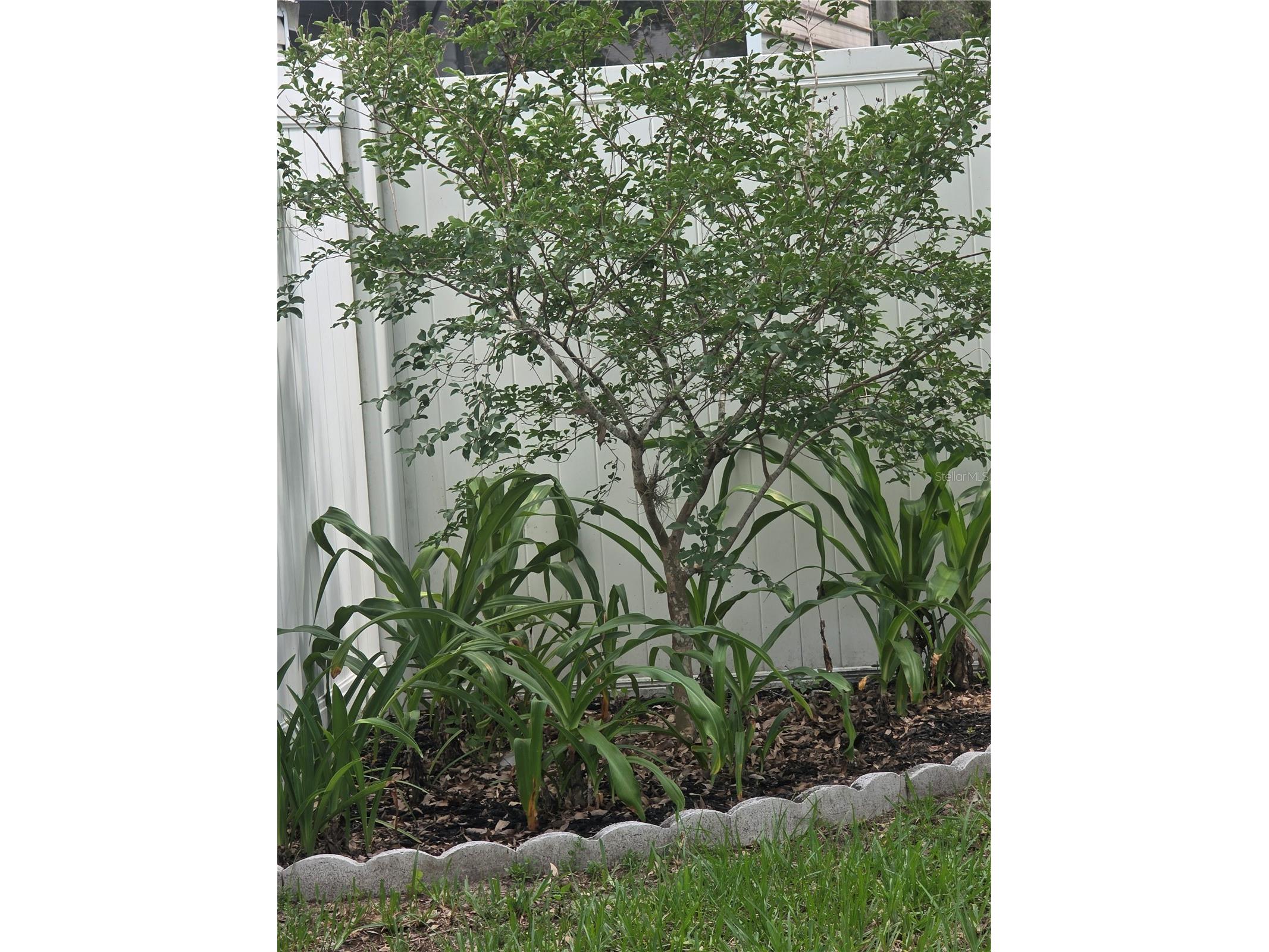 3158 Ambassador Avenue Spring Hill FL 34609 TB8510770 image7