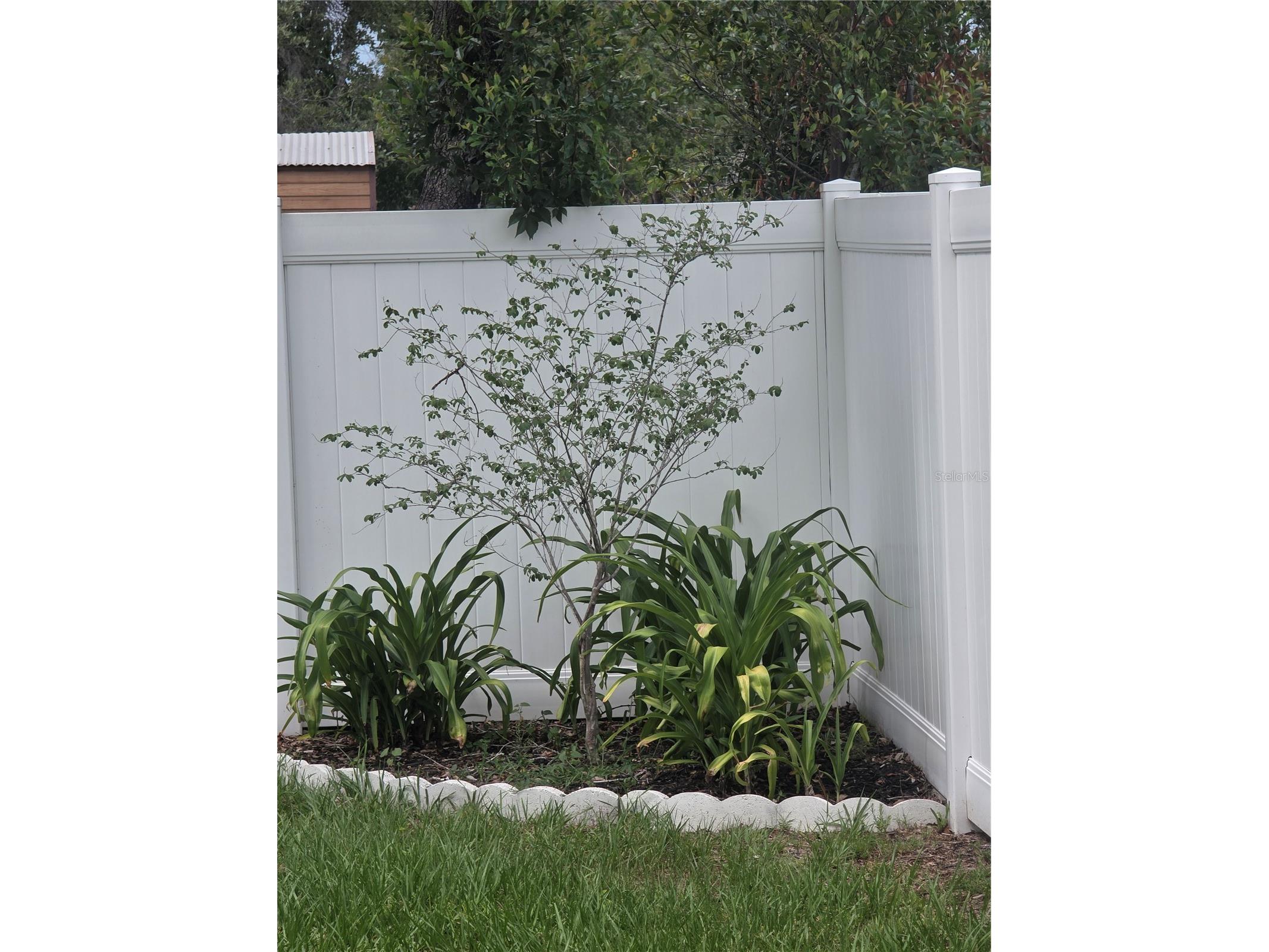 3158 Ambassador Avenue Spring Hill FL 34609 TB8510770 image8