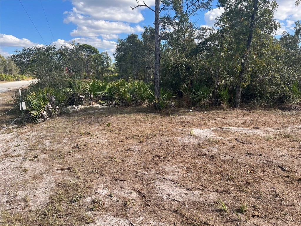 31581 Creek Trail Punta Gorda FL 33982 A4673250 image11